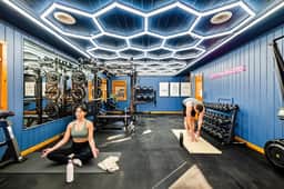 Luxury Wellness Retreat - Gym, Cold Plunge, Sauna