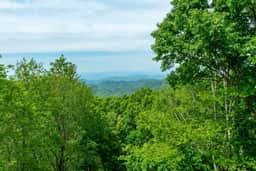 Mars Hill Retreat: Sauna, Wet Bar, Hot Tub, Views