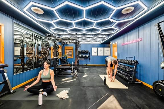 Luxury Wellness Retreat - Gym, Cold Plunge, Sauna