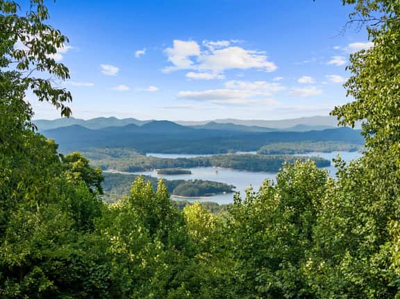 Starry Skies: Sauna, S'mores & Pickleball Retreat